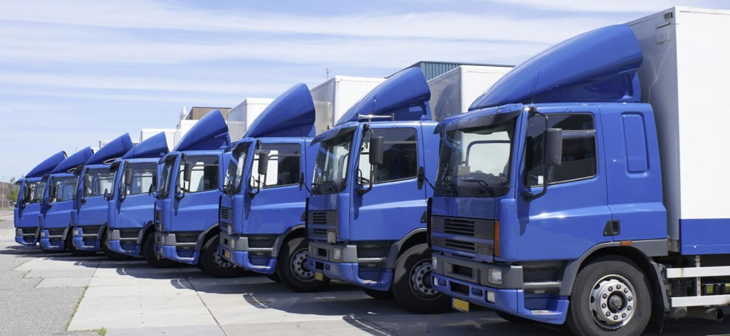 CÔNG TY TNHH VẬN TẢI VÀ ĐẠI LÝ TÀU BIỂN CỬU LONG